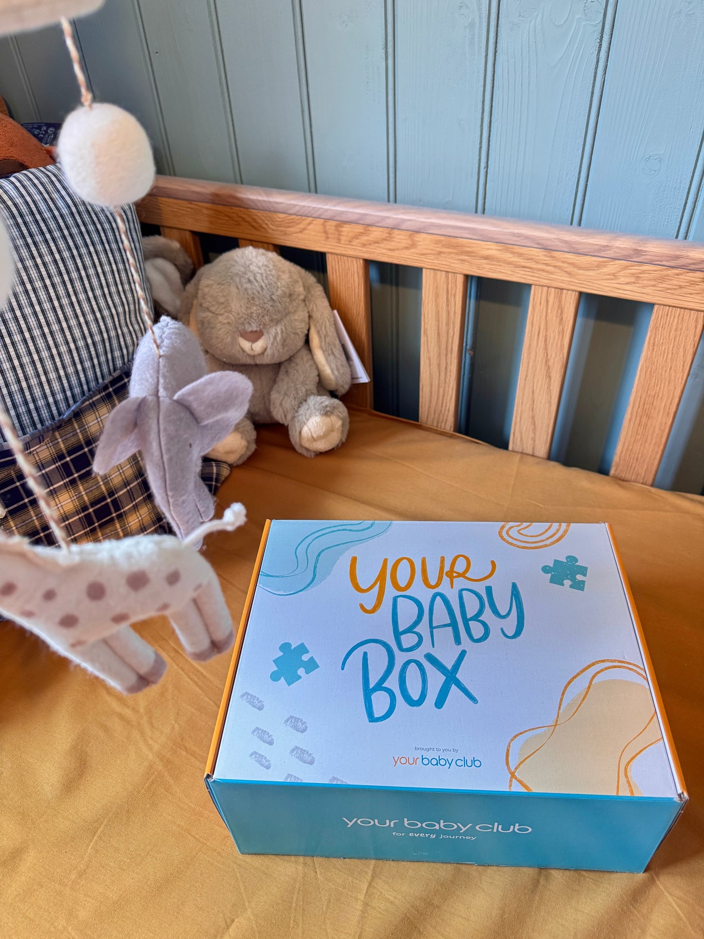 Your Baby Box - Single Purchase